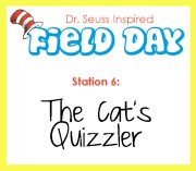 station 6- the cat's quizzler