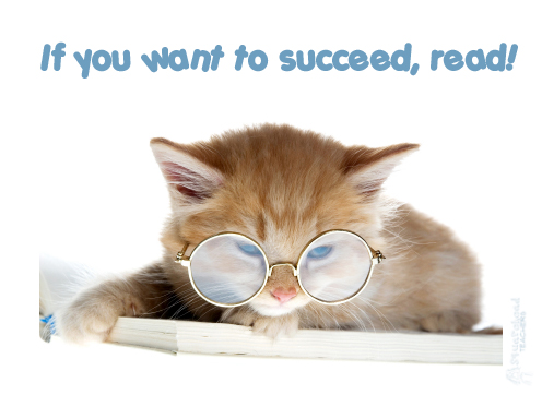 reading kitten poster