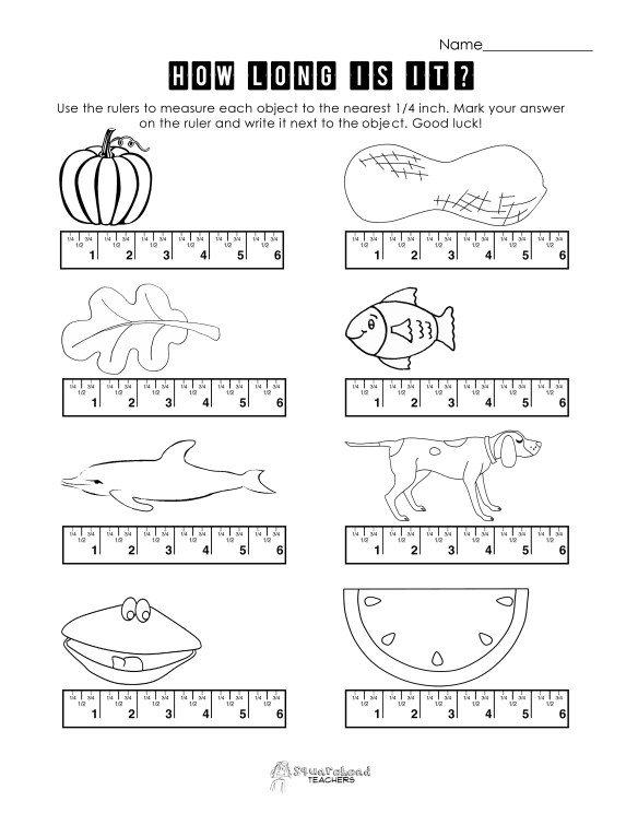Ruler worksheet 2 copy