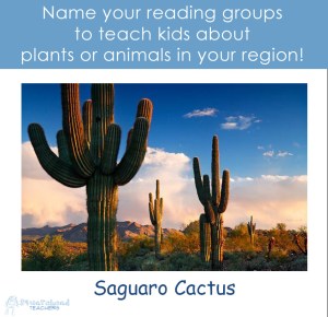 cactus reading groups sticker