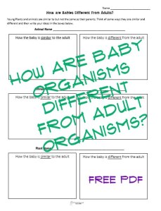 baby-adult organisms STICKER