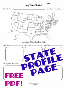 state profile STICKER