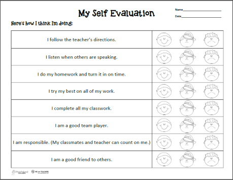 Self Evaluation Preview